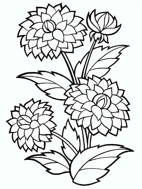 Dibujos De Flor De La Dalia 4 Para Colorear Para Colorear Pintar E