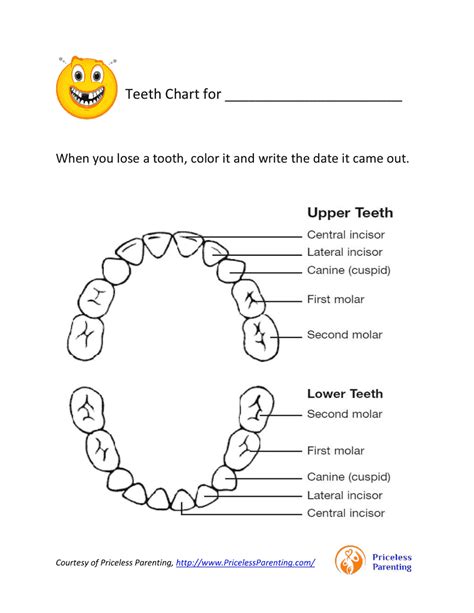 Teeth Chart - Priceless Parenting Download Printable PDF | Templateroller