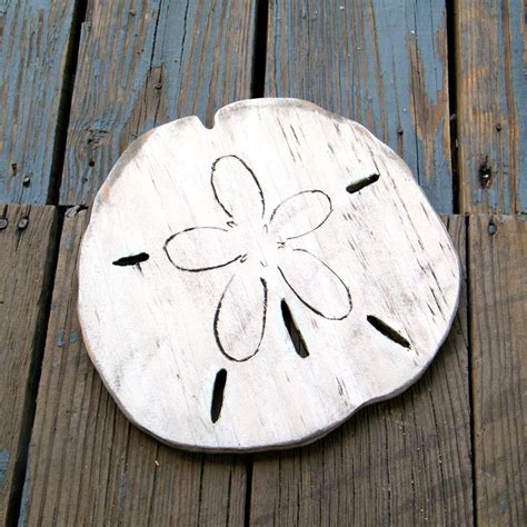 Sand Dollar Wall Art Sand Dollar Wall Decor Haven America