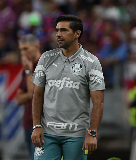 T Cnicos Que Podem Assumir O Palmeiras A Sa Da De Abel Ferreira