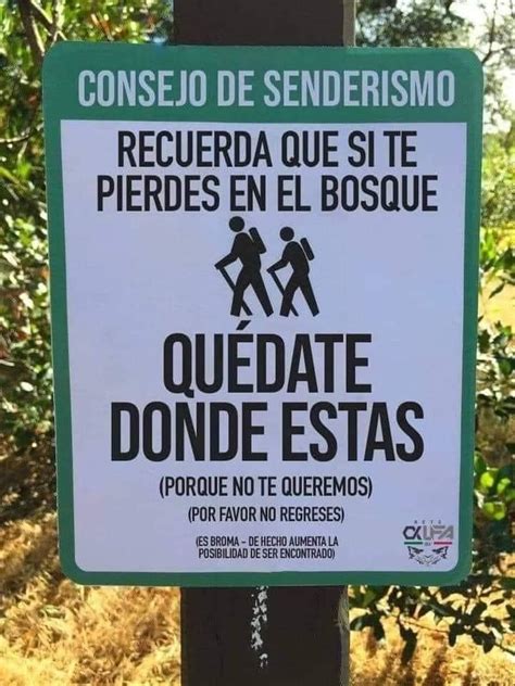 Qu Hacer Si Te Pierdes En El Bosque Piojospegados