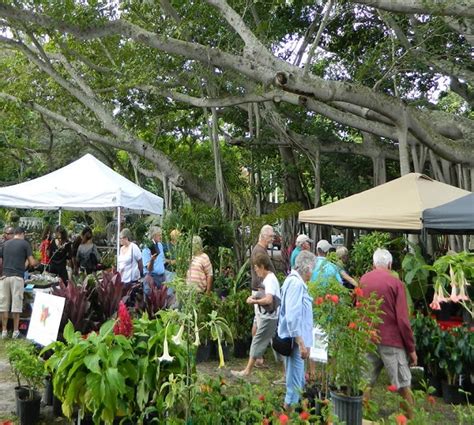 Winter Garden Festival Gulfshore Life