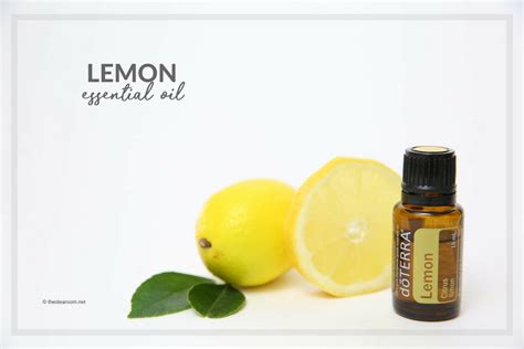 Lemon Essential Oil - The Idea Room