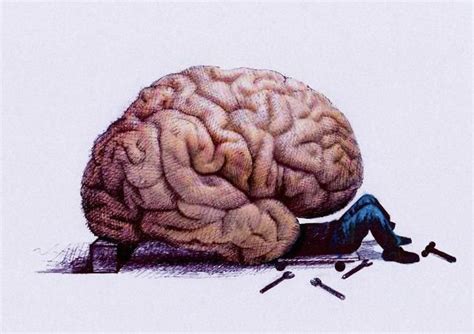 How different branches of psychology study the brain and behavior – Artofit