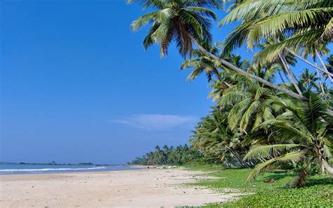 Matara Beach / South / Sri Lanka // World Beach Guide