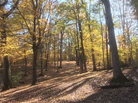 Cane Ridge Park Course Photos