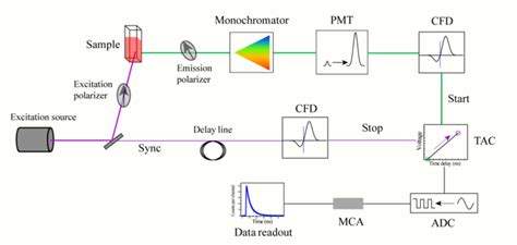 Ultrafast Laser Spectroscopy Encyclopedia Mdpi