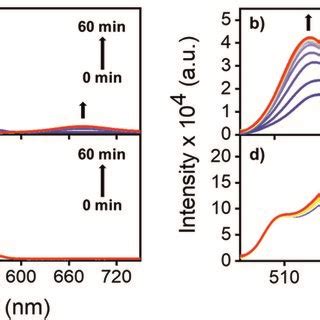 Time Dependent Laser Irradiated Uv Vis Absorption Spectra Of No Pdi In