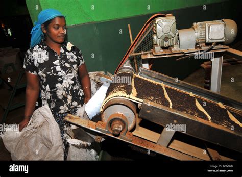 Tea Factory And Plantation Nuwara Eliya Sri Lanka Tea Production