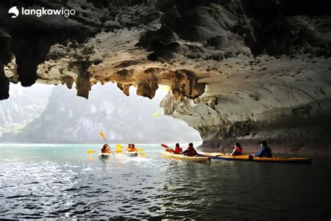 Mangrove Kayaking Tour Langkawi Book Now Pay Later Tours