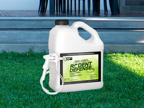 Best Rat Repellent For Garden Top 5 Options In 2025 That Actually Work