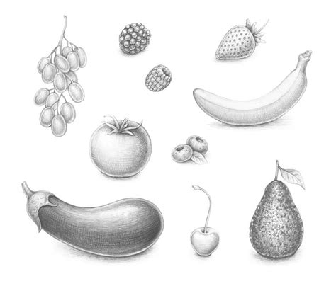 How To Draw 10 Different Varieties Of Berry Envato Tuts