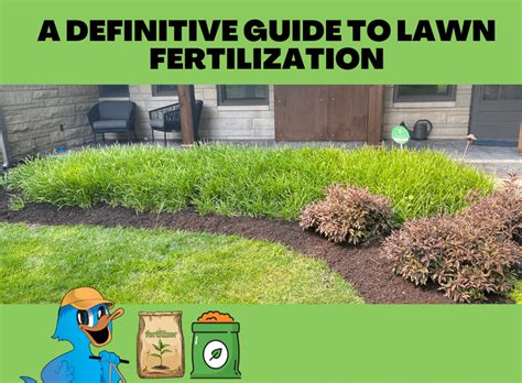 A Definitive Guide To Lawn Fertilization - Blue Duck Lawn Care