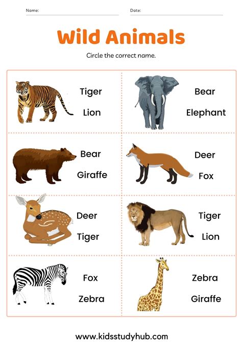 Wild Animals Charts And Worksheets