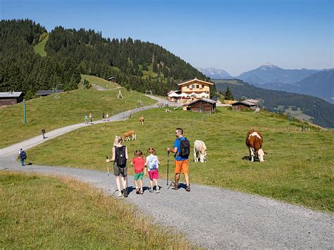 Landhotel Tirolerhof Vorfreude Auf Den Wildsch Nauer Sommer