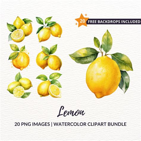 Watercolor Lemon Clipart Bundle 20 Citrus Fruit Png Graphics Instant Download Commercial Use