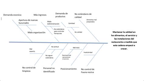 Auditoria Y Sistemas De Calidad Diagrama Causa Efecto