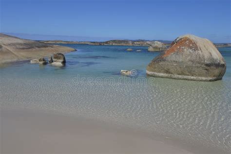 Landscape View Of Greens Pool In South Western Australia Stock Image