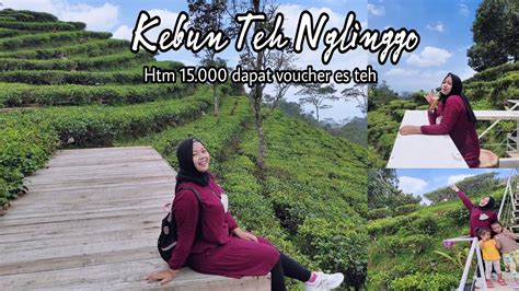 Kebun Teh Nglinggo Kulonprogo Youtube