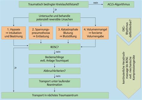 Reanimation Nach Trauma Traumateam