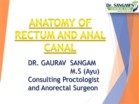 Anatomy Of Rectum And Anal Canal Ppt