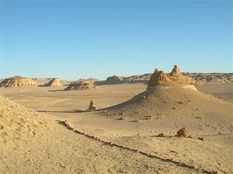 Wadi Al Hitan Whale Valley Egypt Key Tours