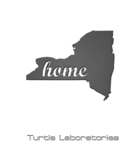 New York State Home Sign Turtle Laboratories