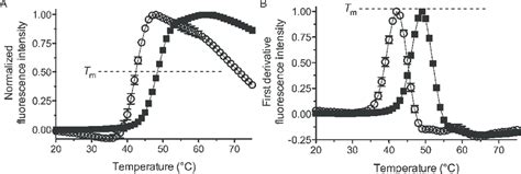 Representative Thermal Denaturation Measured By DSF A The