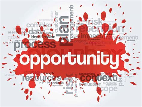 Opportunity Word Cloud Business Stock Vector Colourbox