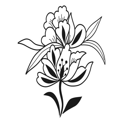 Floral Outline Illustration Isolated On Png Transparent Background