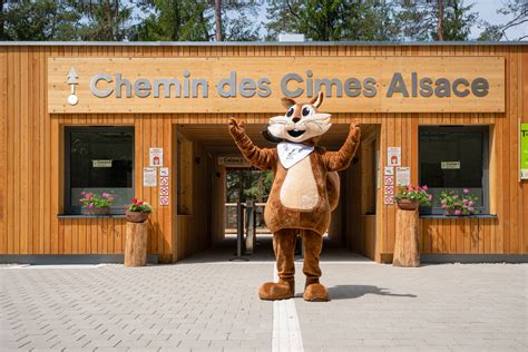 Chemin Des Cimes Elsass Einzigartige Erlebnisse In Frankreich