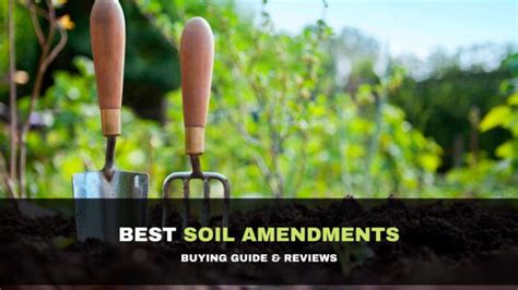 Best Soil Amendments Agriculture Goods