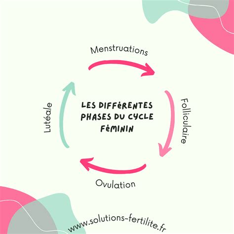 Quelles sont les différentes phases du cycle féminin