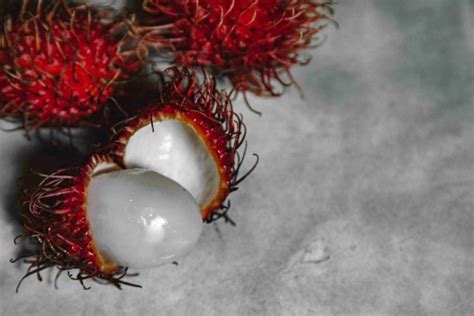 5 Cara Menanam Pohon Rambutan Agar Berbuah Lebat Dan Manis