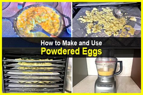 How To Make And Use Powdered Eggs Theworldofsurvivalcom