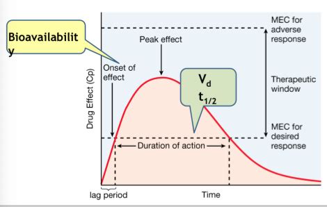 Pharmacokinetics Flashcards Quizlet