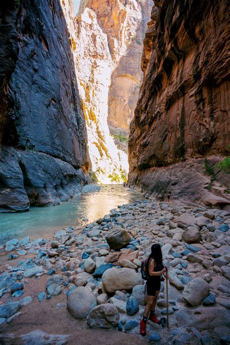 Everything You Need To Know Before Visiting The Narrows At Zion