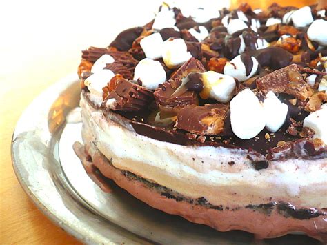 Hagen Daz Ice Cream Cake Recipe Besto Blog