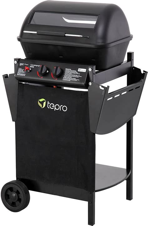 Гриль, барбекюшница газовая. Gratar pe gaz, BBQ grill.