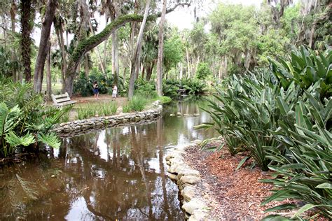 Washington Oaks Gardens State Park Palm Coast Florida Flaglerlive