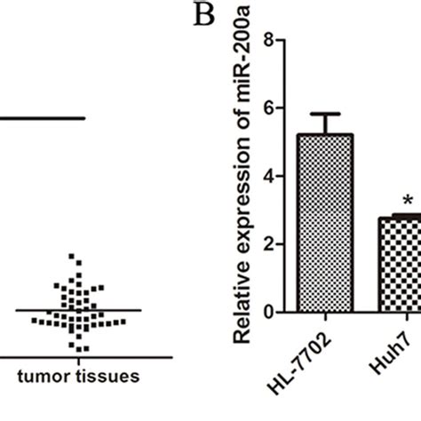 Expression Of Mir A In Hcc Tissues And Cell Lines A Expression Of