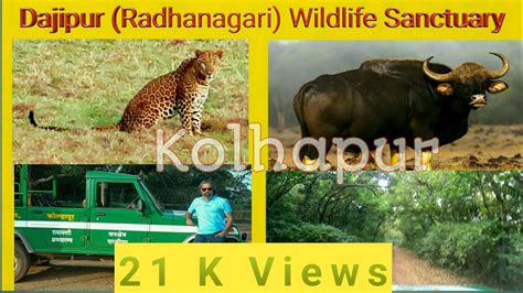 Dajipur Radhanagari Wildlife Sanctuarydajipur Abhayaranya Kolhapur