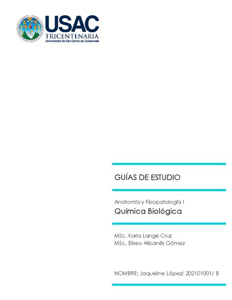 Gu A De Trabajo Sistema Circulatorio Gu As De Estudio