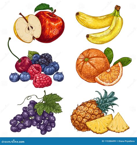 Fresh And Juicy Fruits Hand Drawn Illustration Isolated On White