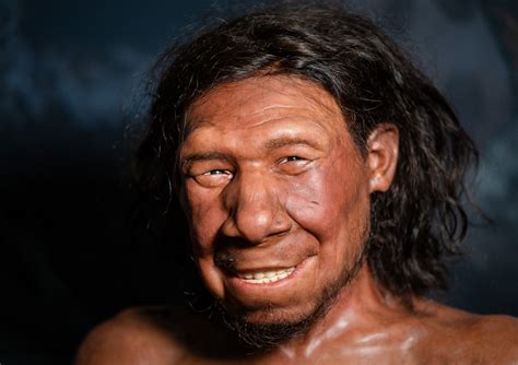 Cientistas reconstroem rosto do crânio do primeiro Neandertal holandês