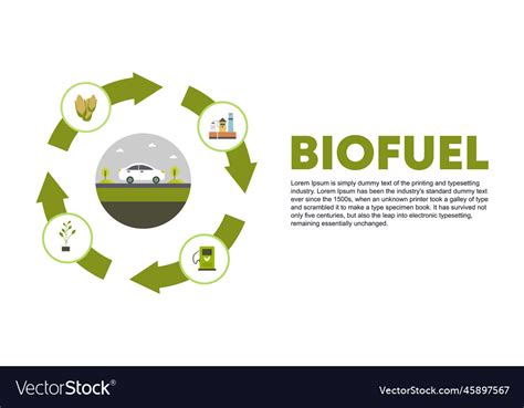 Lignocellulosic Biomass