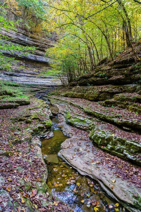 Raven Run Creek stock photo. Image of woods, pool, limestone - 255828170