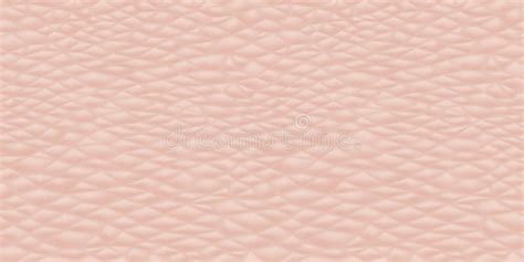 Human Skin Seamless Texture Stock Illustrations Human Skin