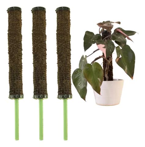 Soporte Tutor Fibra De Coco Para Plantas Meses Sin Inter S