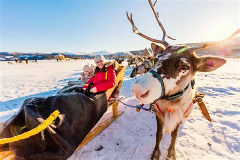 Que faire à Tromsø Mon top 13 des activités à ne pas manquer